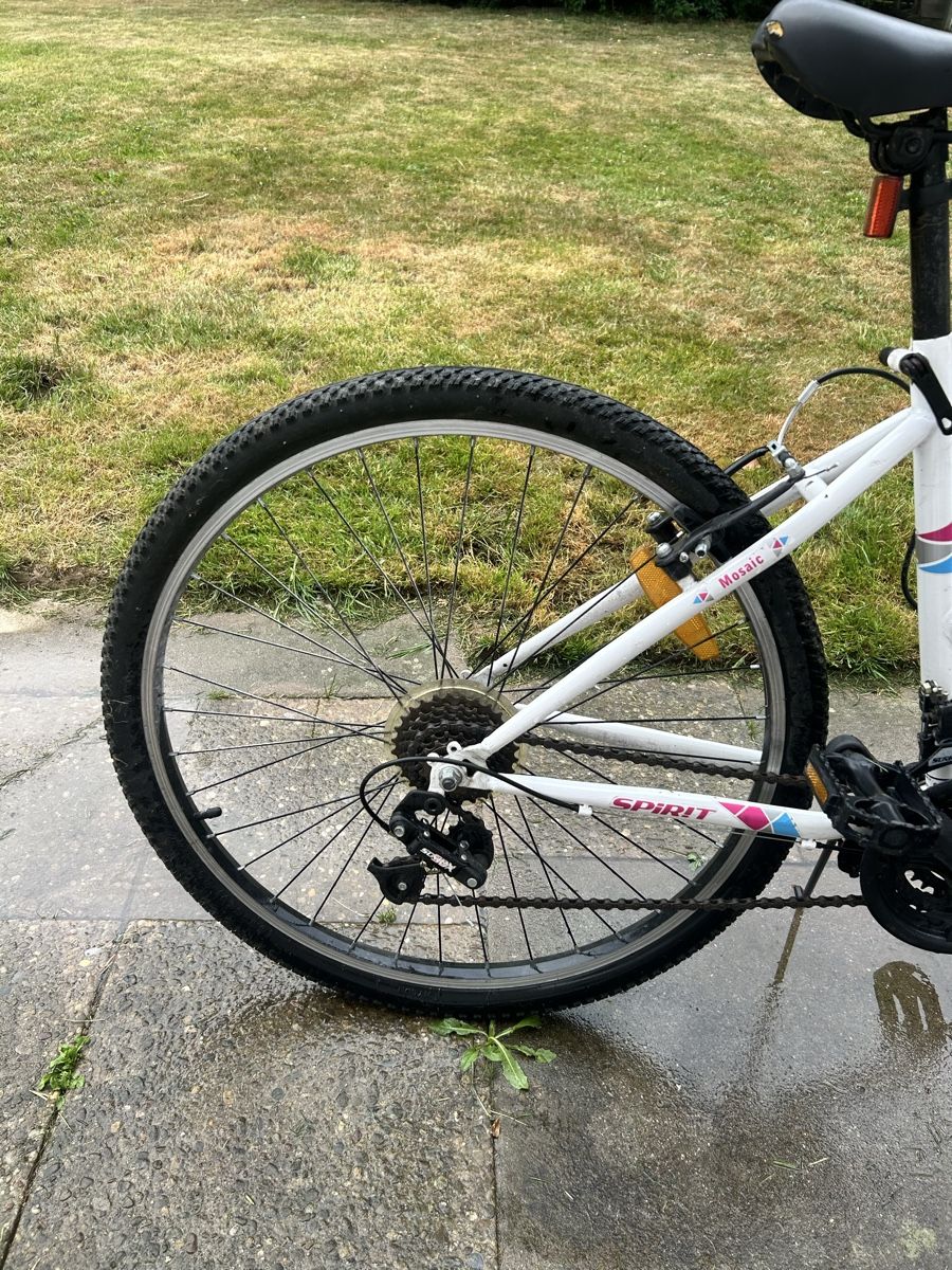 Biciclette: Fahrrad  – Usato da Eschenbach SG venduto da lir_sg7n 1