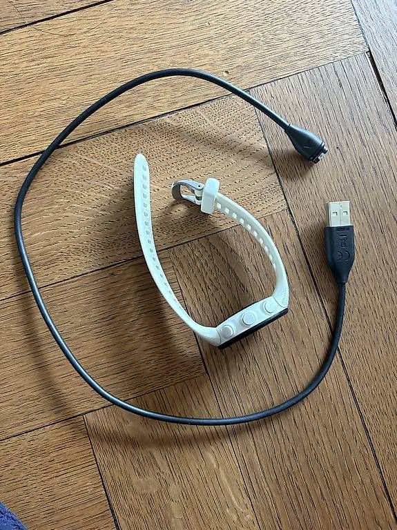 Garmin Smartwatch: Garmin Forerunner 45 inkl. Original-Ladekabel – Gebraucht aus Bern von man_n9pg