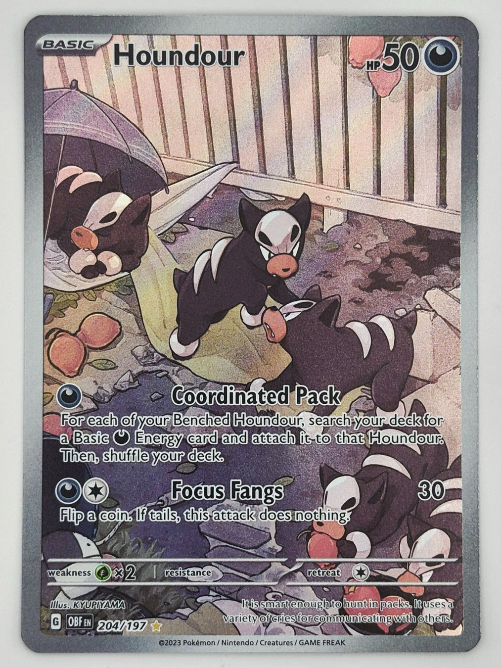 Pokémon Carte collezionabili: Houndour / Hunduster / Obsidian Flames / OBF 204 – Nuovo (secondo la descrizione) da Arni AG venduto da PokemonCardsStore