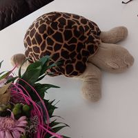 Riesen-Plüsch-Schildkröte