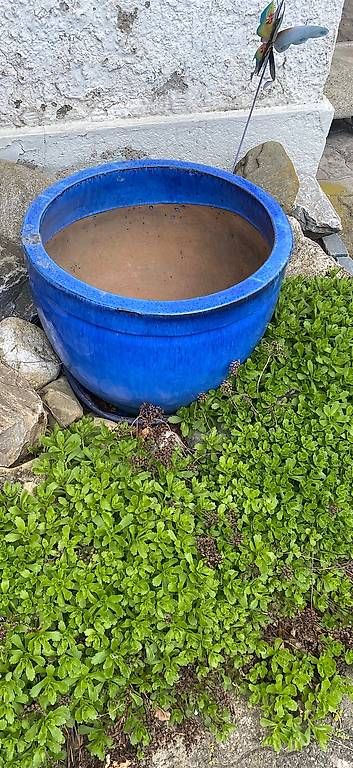 Vasi per fiori: Blumentopf inklusive zwei Kugeln blau – Usato da Bürglen TG venduto da jap_dcm6 1