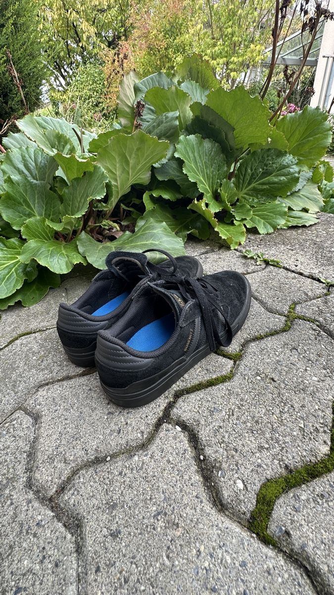 Adidas Scarpe da uomo: Adidas Busenitz, Schwarz Grösse 41 1/3 – Usato da Rümlang venduto da Wantedjoe