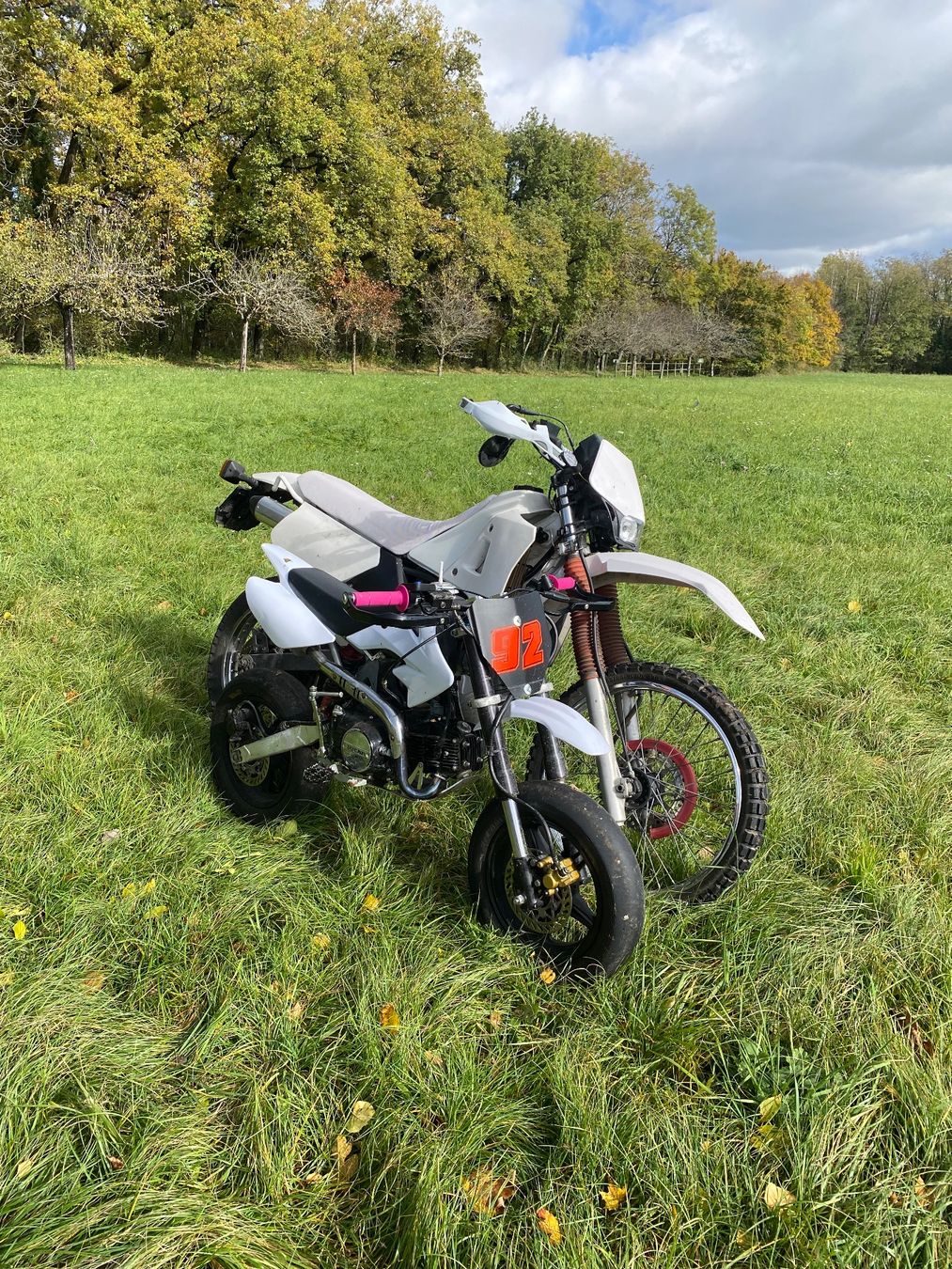 Mini Bike: Pit Bike 2 in 1 – Usato da Chéserex venduto da noa.schwab 2
