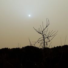 Profile image of AMSouris