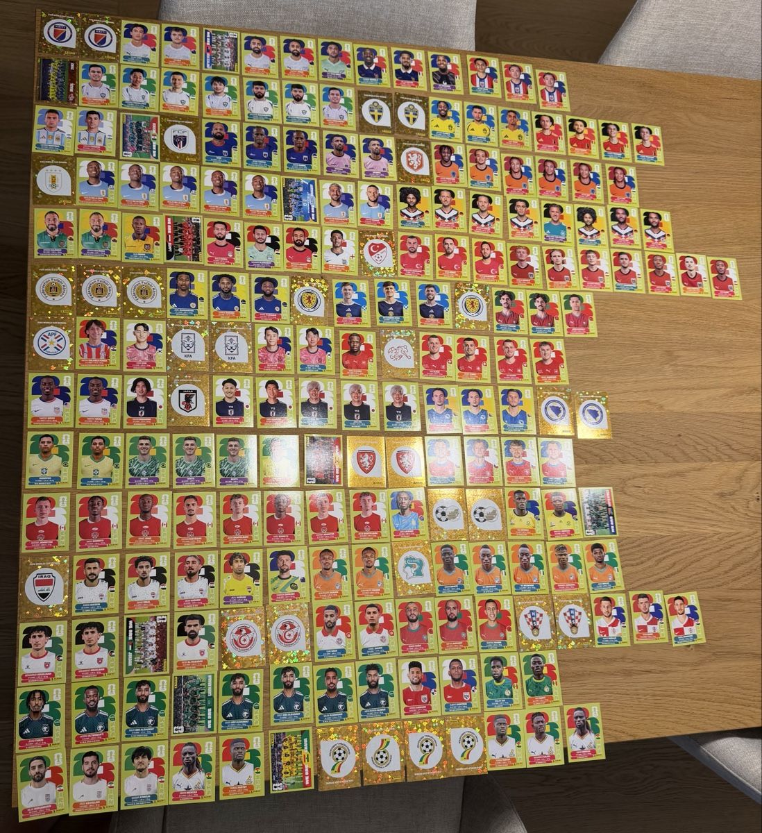 Panini Carte collezionabili: Panini WM 2026 206 Sticker – Nuovo (secondo la descrizione) da Langenthal venduto da Mitallemcoctail
