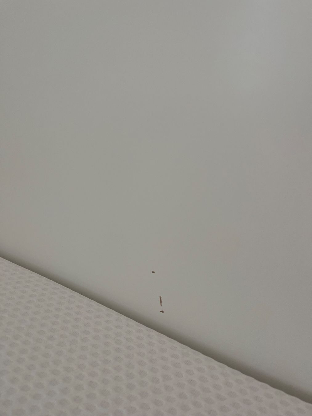 Ikea Letti: Doppelbett 140cm x 200cm – Usato da Biel/Bienne venduto da ale_v5k7 6