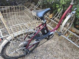 Working City E-Bike for students, newcomers, old but sturdy 