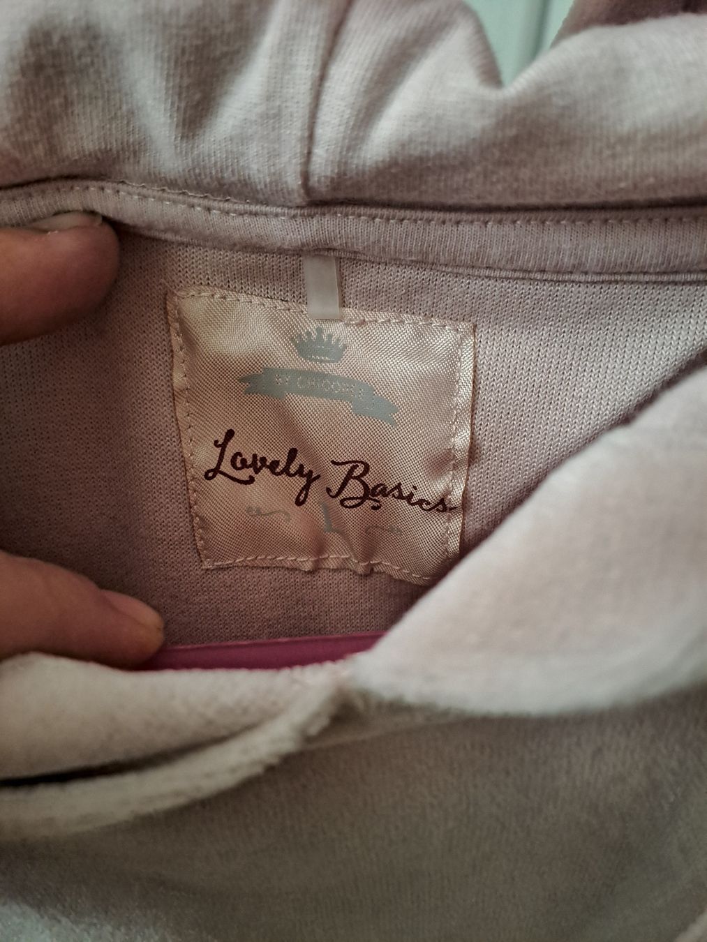 Pullover & Sweatshirts: Pullover mit Kapuze Samt Rosa Gr. L – Gebraucht aus Rickenbach LU von bishiida 1