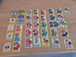 Lot de 44 stickers paninis