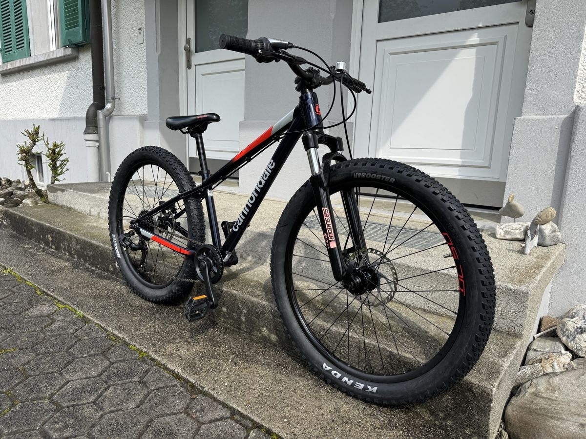 Cannondale Biciclette: Cannondale Trail 24 fat bike – Usato da Widnau venduto da Barbaros82 2