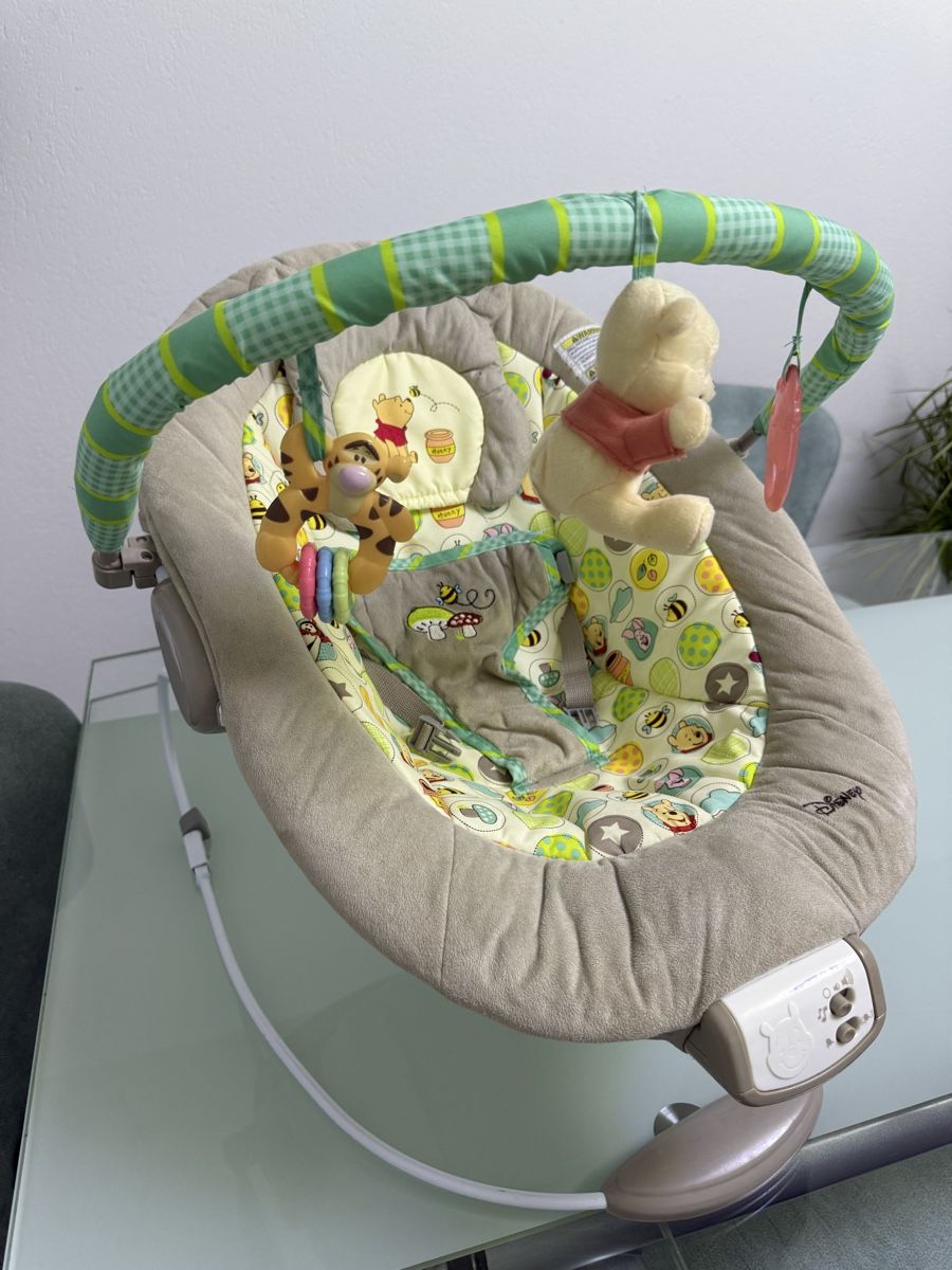 Disney Wippen & Schaukeln: Babywippe, Winnie Pooh – Gebraucht aus Gossau SG von cuk_fyc6 1