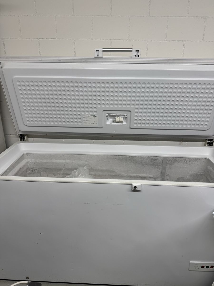 Congelatori: Congelatore a pozzetto Bosh – Usato da Zürich venduto da LuFrusciuluGmbH