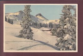 ADELBODEN - Hahnenmoos-Pass - Regenbolshorn