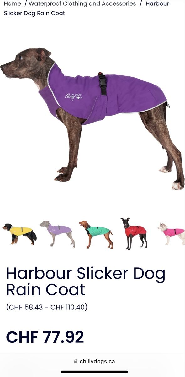 Abbigliamento: Hochwertiger Hundemantel Chilly Dogs – Usato da Regensdorf venduto da Supermonkey89 1