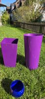 Blumentöpfe violett