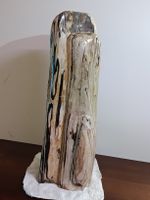 Versteinertes Holz - Naturstein - Unikat 