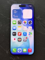 Apple iPhone 16 Pro 256 GB grau guter Zustand