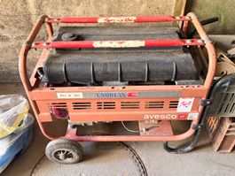 Endress Benzin-Generator (Lot 149) 6017 Ruswil