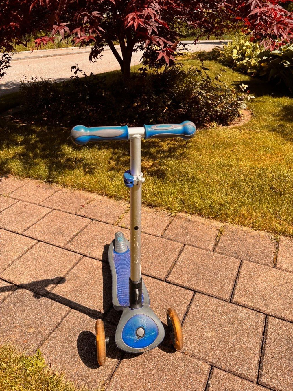 Globber Kickboard: Trotti Globber blau mit leucht Rädern vorne – Usato da Hausen am Albis venduto da Soul2026