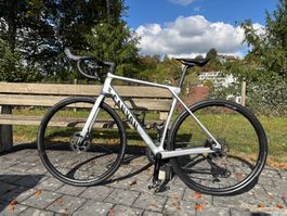 Canyon Endurance CF 7
