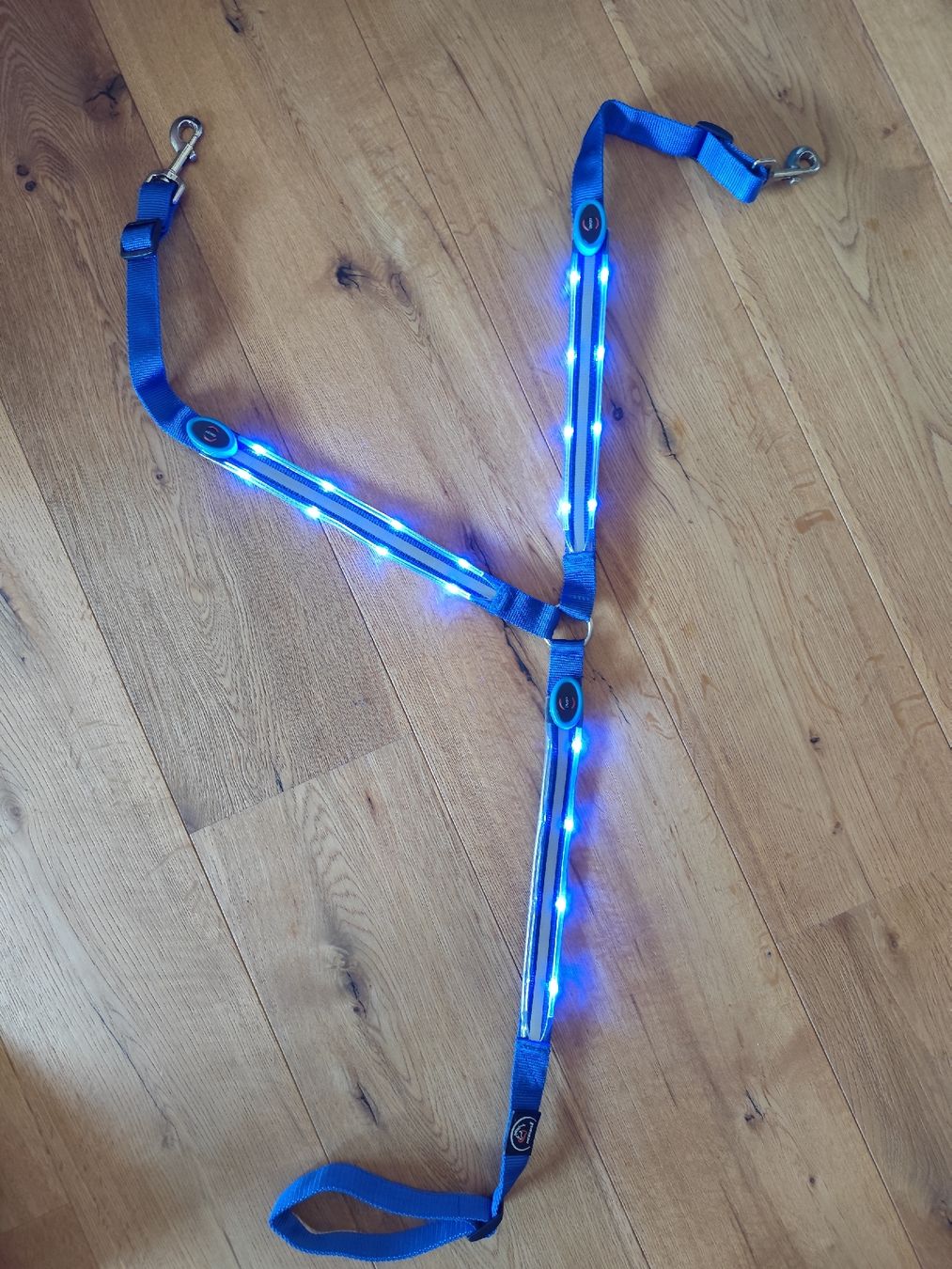 Brides, licols: Pony LED Vorgeschirr  – Défectueux à Kerzers par sb_12