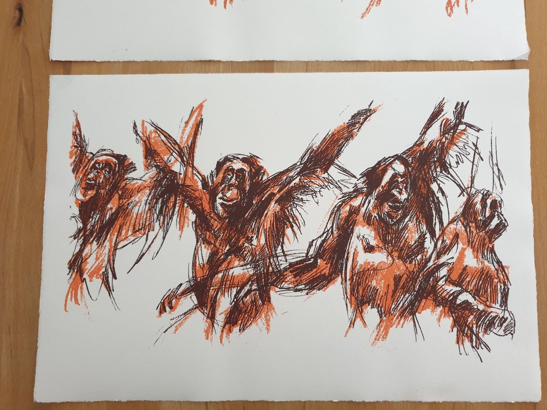 Foto & Immagini: 3 Drucke Affen-Studien Bildmass : 32x47,5 cm – Nuovo (secondo la descrizione) da kaiseraugst venduto da Yohe 2