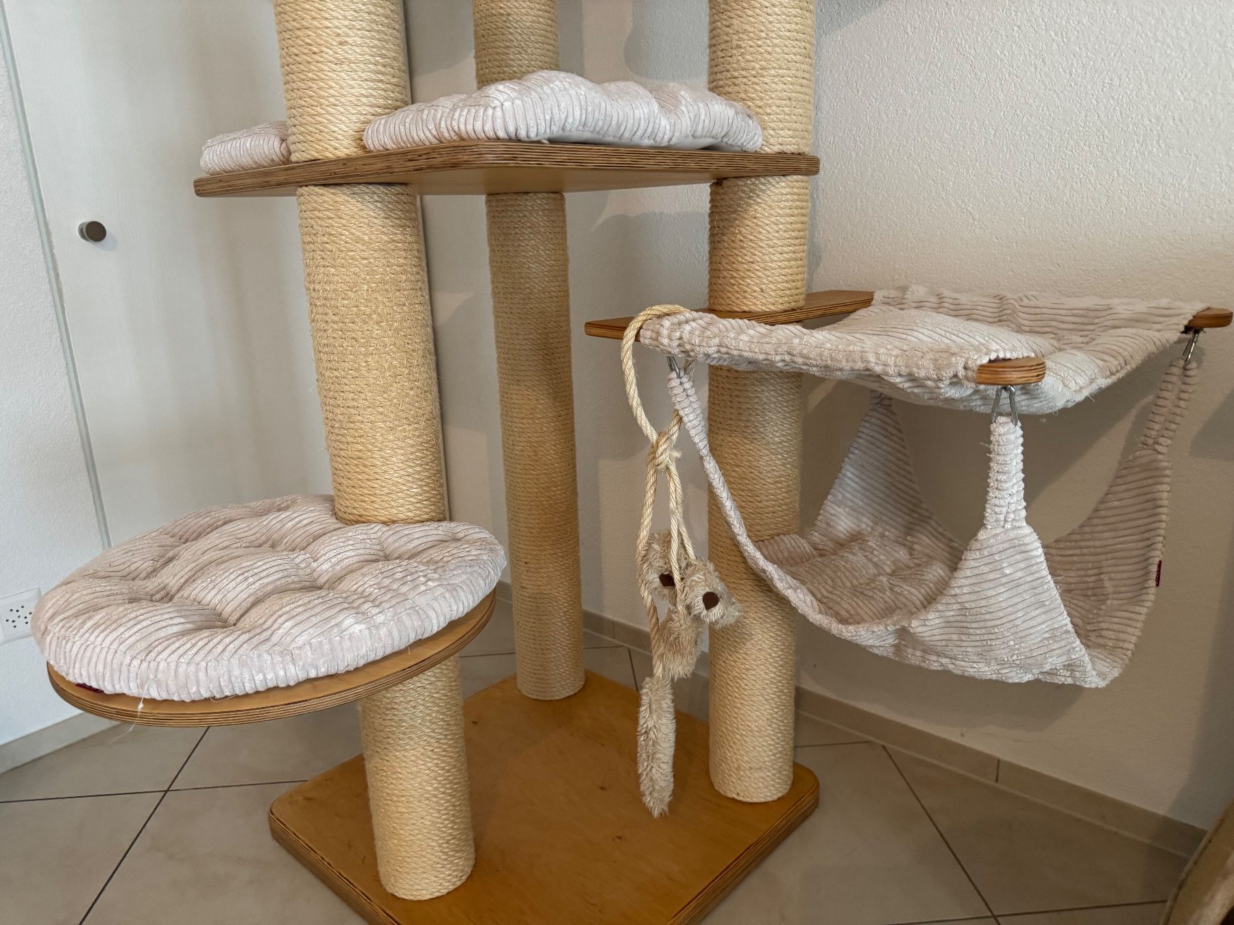 katze trockenfutter nassfutter CKD-Nassfutter fr Katzen  Lachs