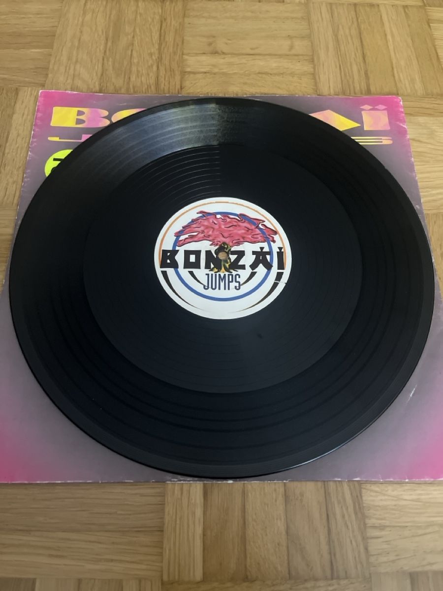 Schallplatten: DJ Yves & DJ Maikel Hardcore Vinyl – Gebraucht aus Wangen b. Olten von break72 3
