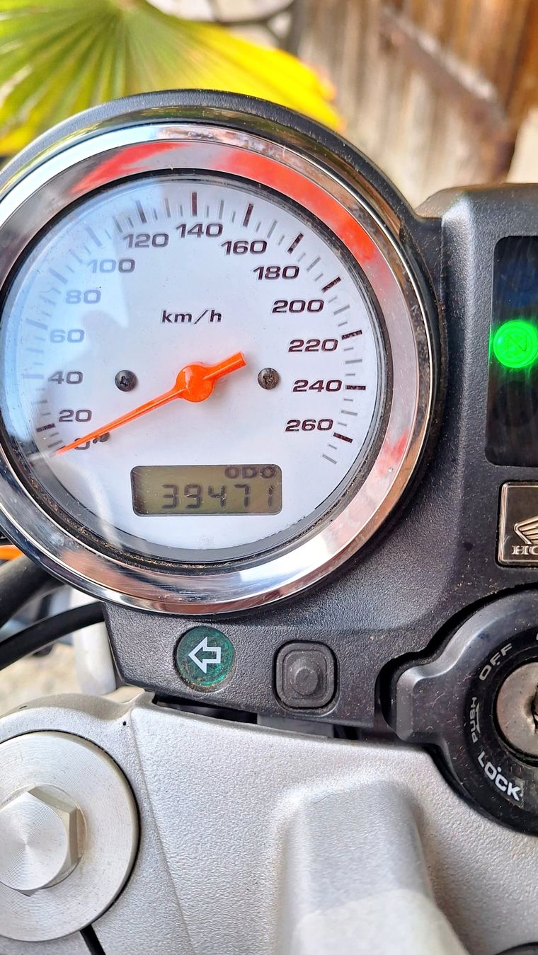 Honda Strada: Honda Hornet, Top Zustand – Usato da Schmerikon venduto da 1SanMartin 4