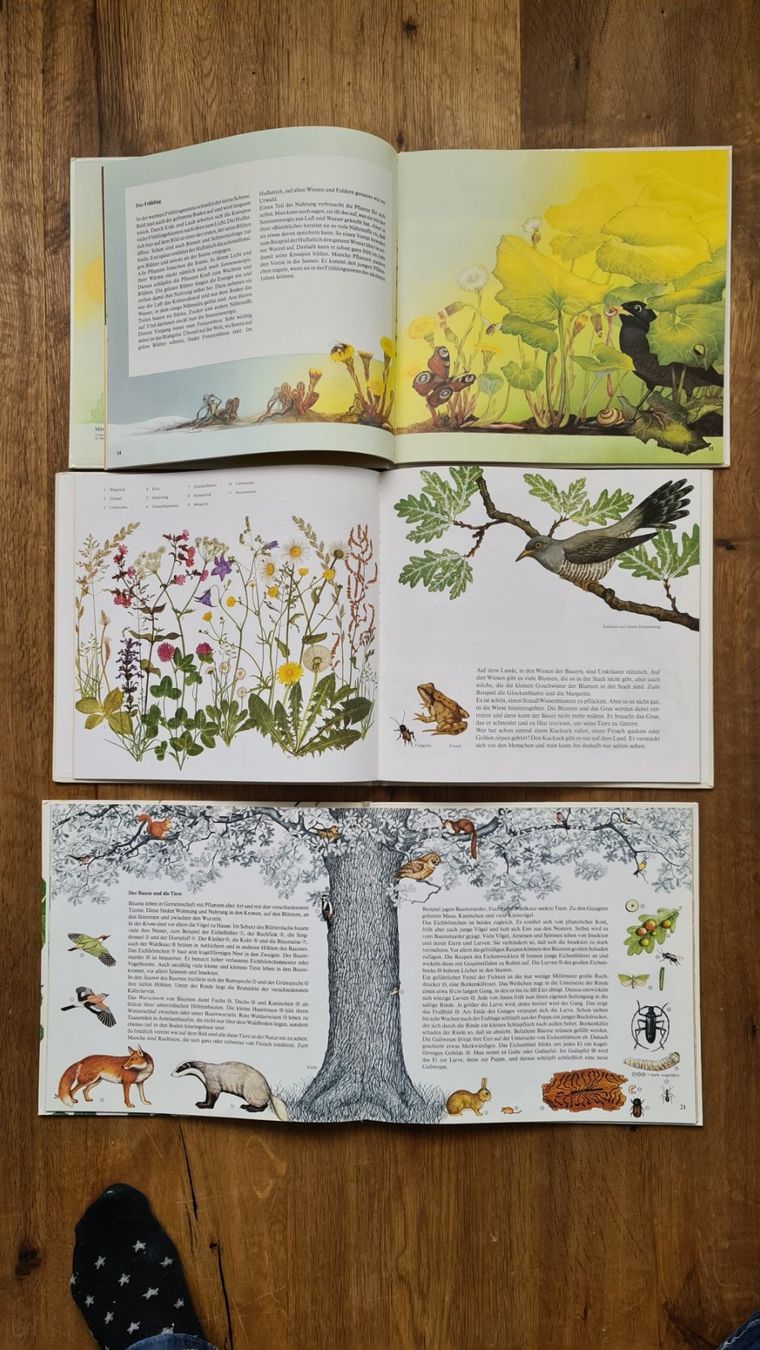 Libri: Die uhr bücher set – Usato da Wittenbach venduto da Tigerlili 4