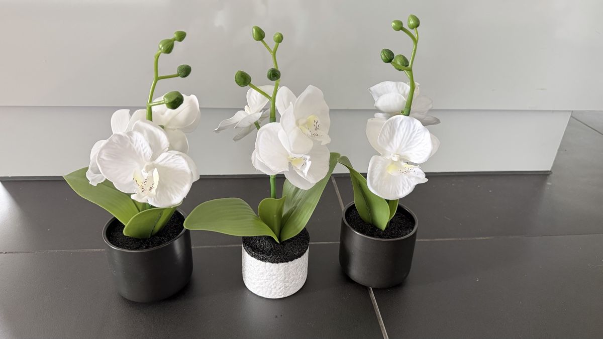 Piante & sementi: Kunstpflanzen Orchideen weiss mit Kunsterde – Usato da Seuzach venduto da ann_w2zc 3