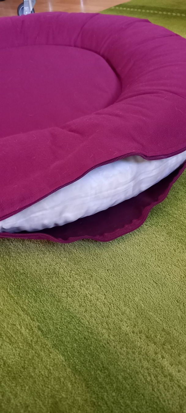 Liege- & Schlafplätze: Hundebett gross – Gebraucht aus Höri von bsc_68fw 3