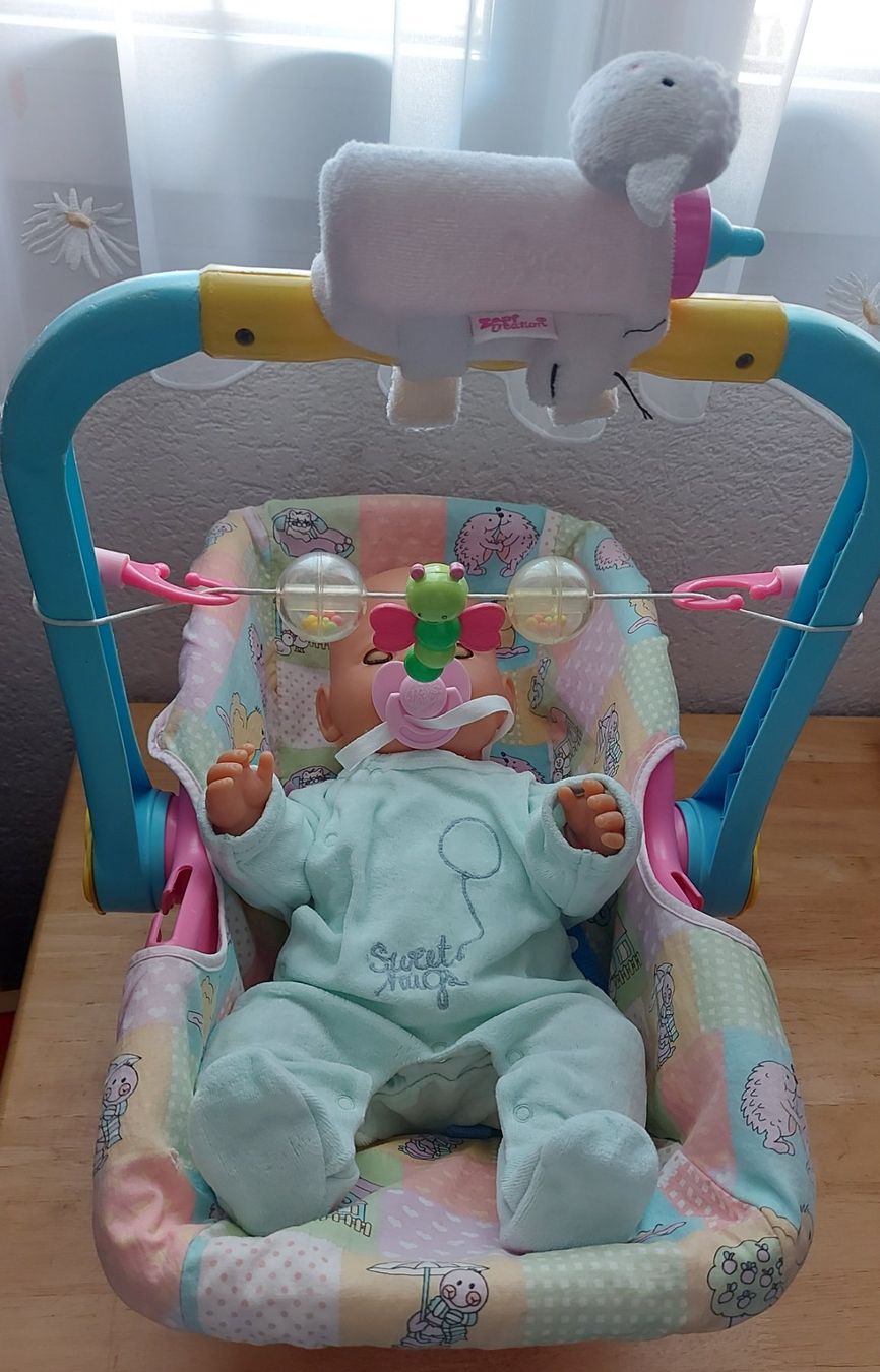 Bambole: 1 Babyborn Puppe – Usato da Steinen venduto da bruvlatur86 1