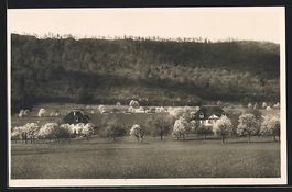 AK Birr, Schweiz. Pestalozziheim Neuhof