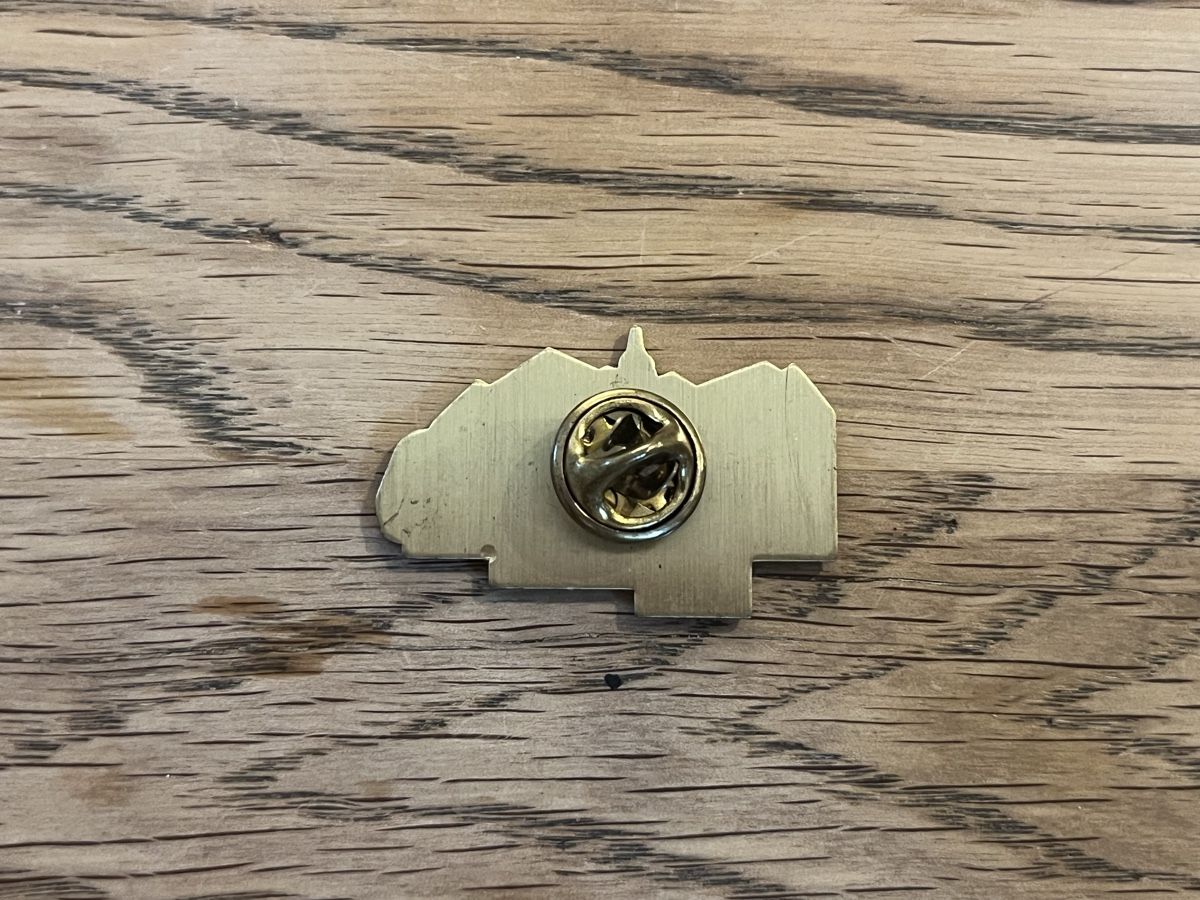 Placchette & Badge: SSG RABe 1053 Pin – Usato da Ehrendingen venduto da Duwe_KlG 1