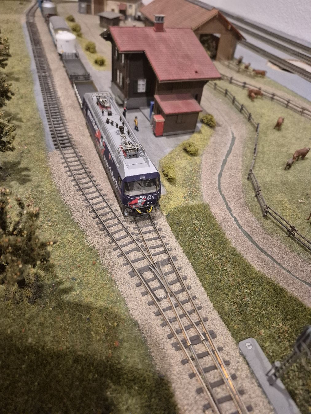 Bemo Modellini di ferrovie: Bemo RhB Güterzug – Usato da Uttigen venduto da Orbrick 2