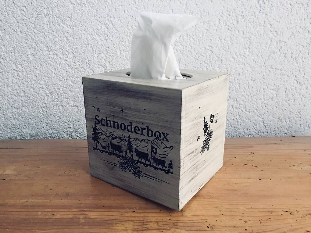 Altro in Decorazioni & Accessori: Kleenextaschentücherbox Würfel / schnoderbox – Usato da Niederbüren venduto da canadace 2