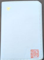 Reise-Passhülle helblau