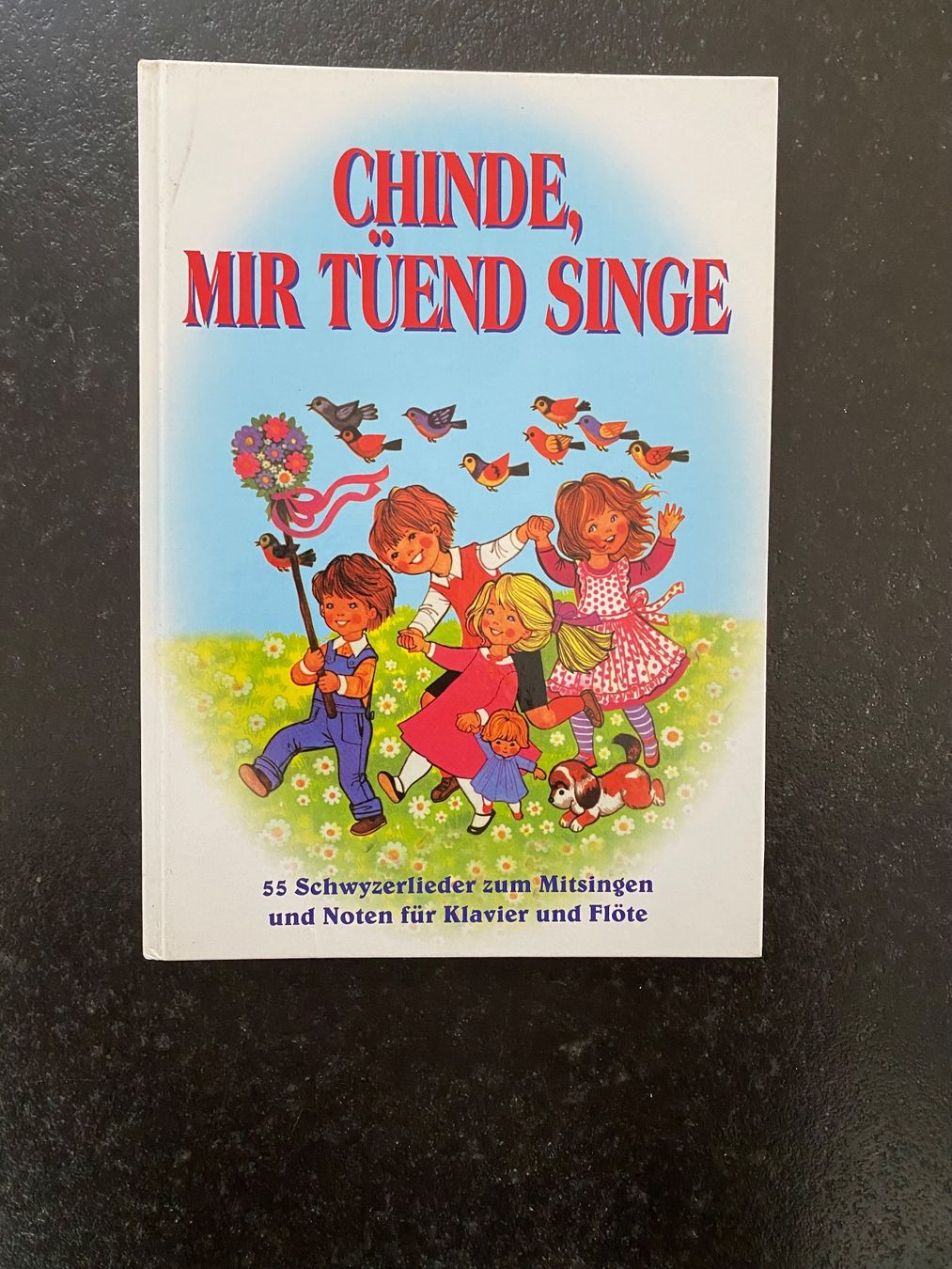 Bücher: Kinderlieder Buch: Chinde, mir tüend singe – Gebraucht aus Bern von Ledica