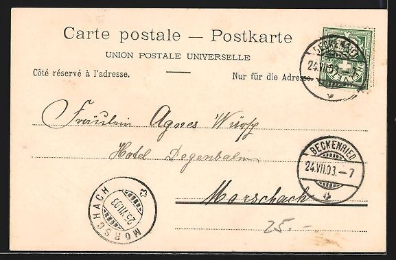Cartoline postali: Beckenried, Panoramablick mit Vierwaldst – Usato da Berlin venduto da bartko-reher 1