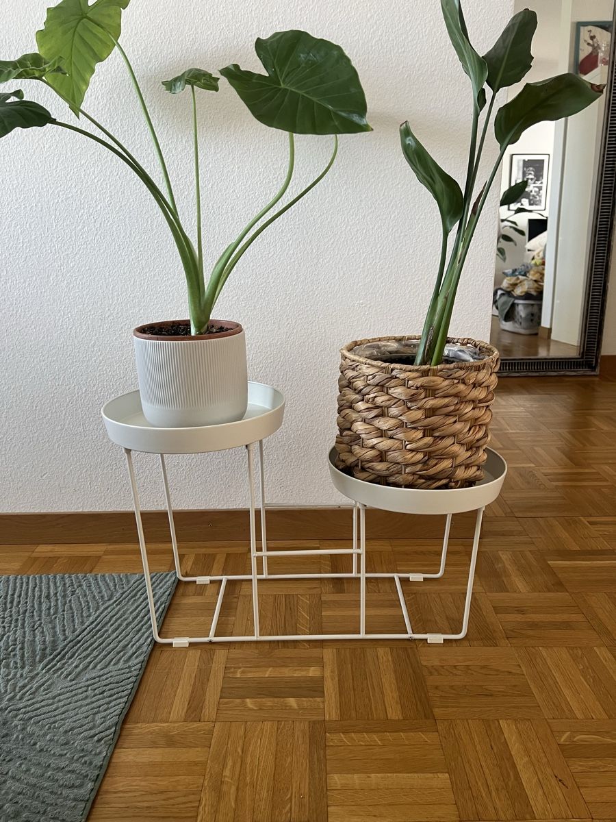 Blumentöpfe: Blumenständer zwei-teilig – Gebraucht aus Winterthur von gca_wv2r