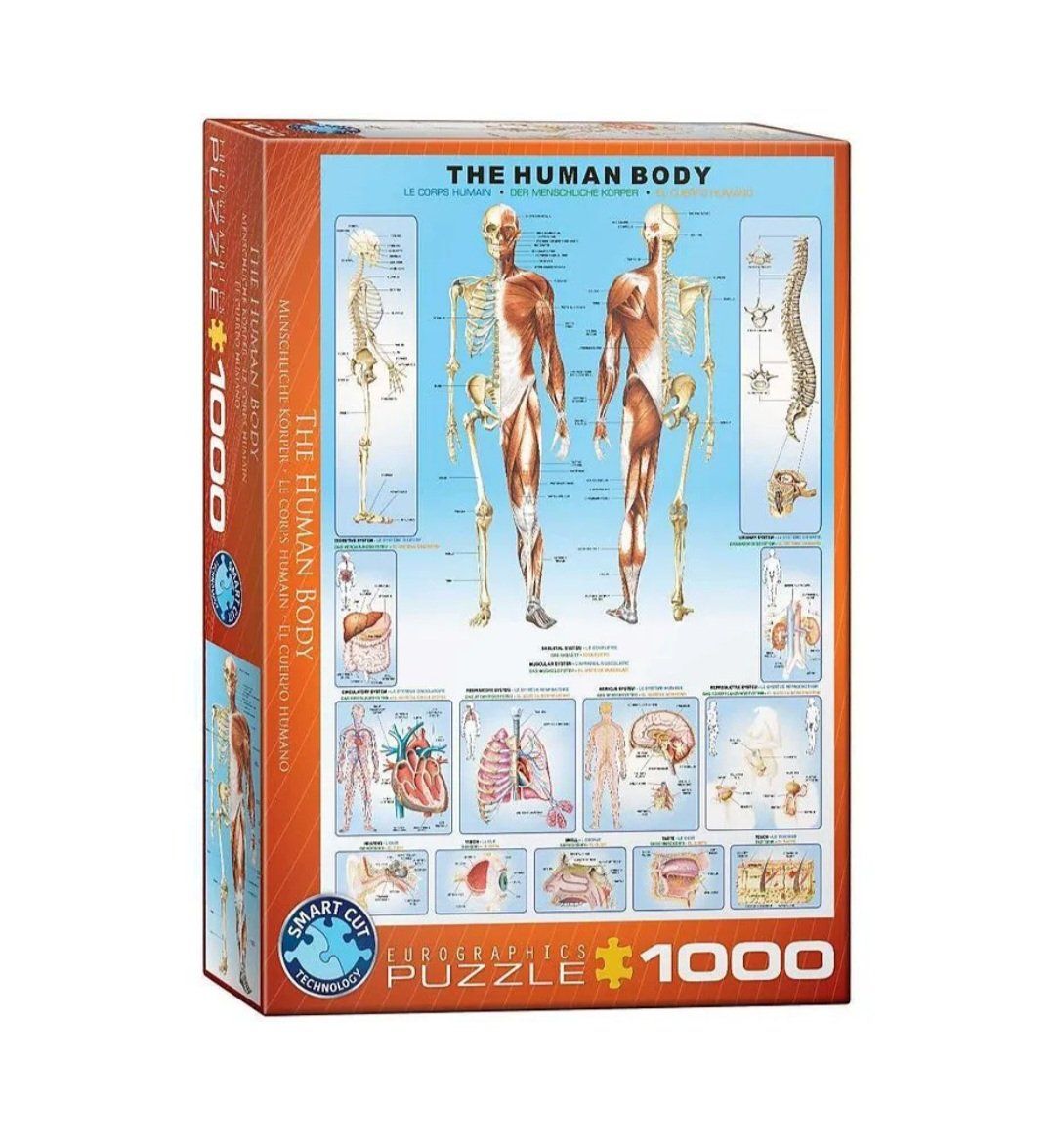 Puzzle: Human Body Puzzle 1000-teilig – Nuovo e nell'imballaggio originale da Inwil venduto da camenzro
