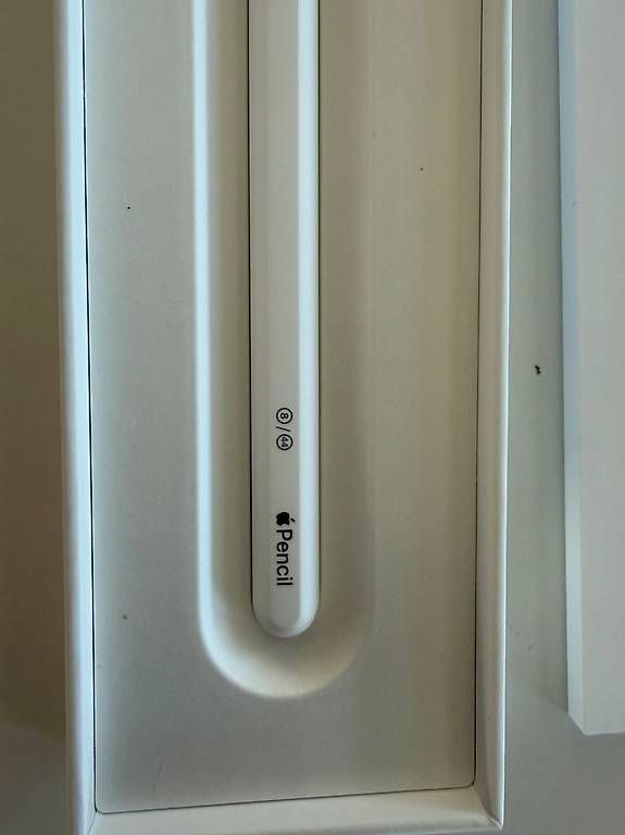 Apple Penna & Evidenziatori: Neuer Apple Pencil 2nd Generation – Nuovo (secondo la descrizione) da Meilen venduto da Izzie79 1