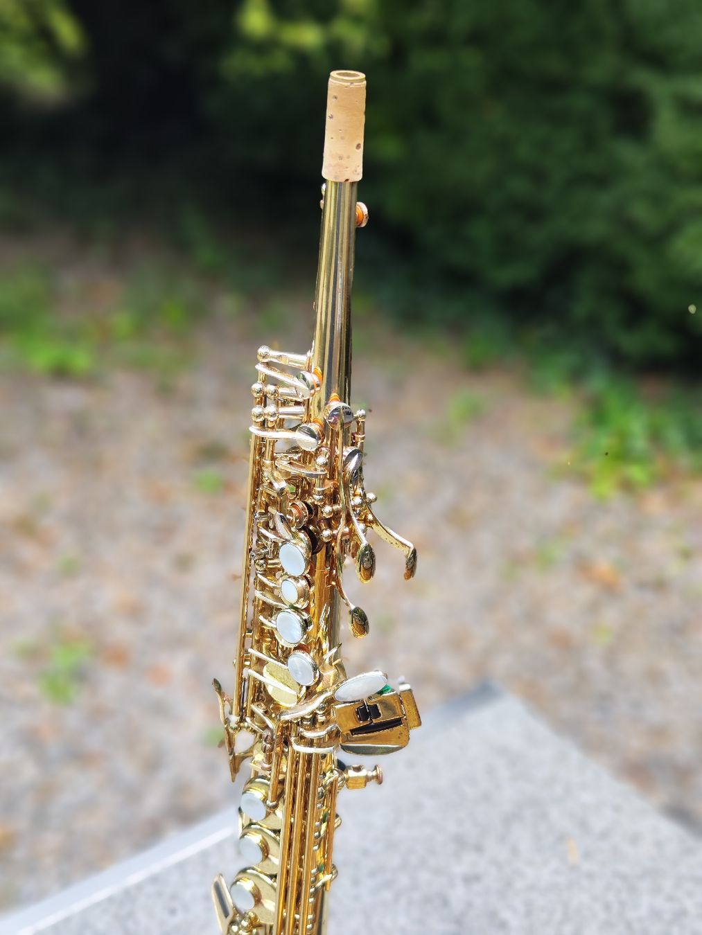 Selmer Strumenti musicali: Selmer Sopran Super Action 80 – Usato da Näfels venduto da LINUSCAT 1