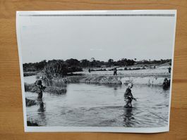Orig. Pressefoto US-Amerikaner Vietnamkrieg 6. Feb. 1967