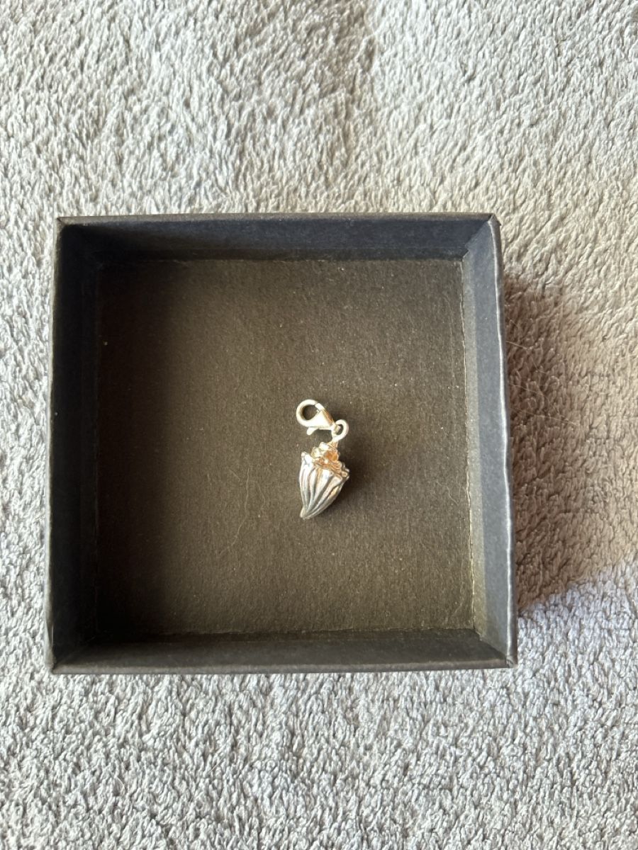 Thomas Sabo Ciondoli: thomas sabo charm Muschel – Usato da Wohlen b. Bern venduto da Honeypie