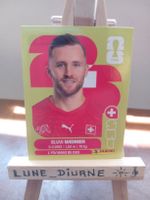 Carte Panini Silvan Widmer SUI 8