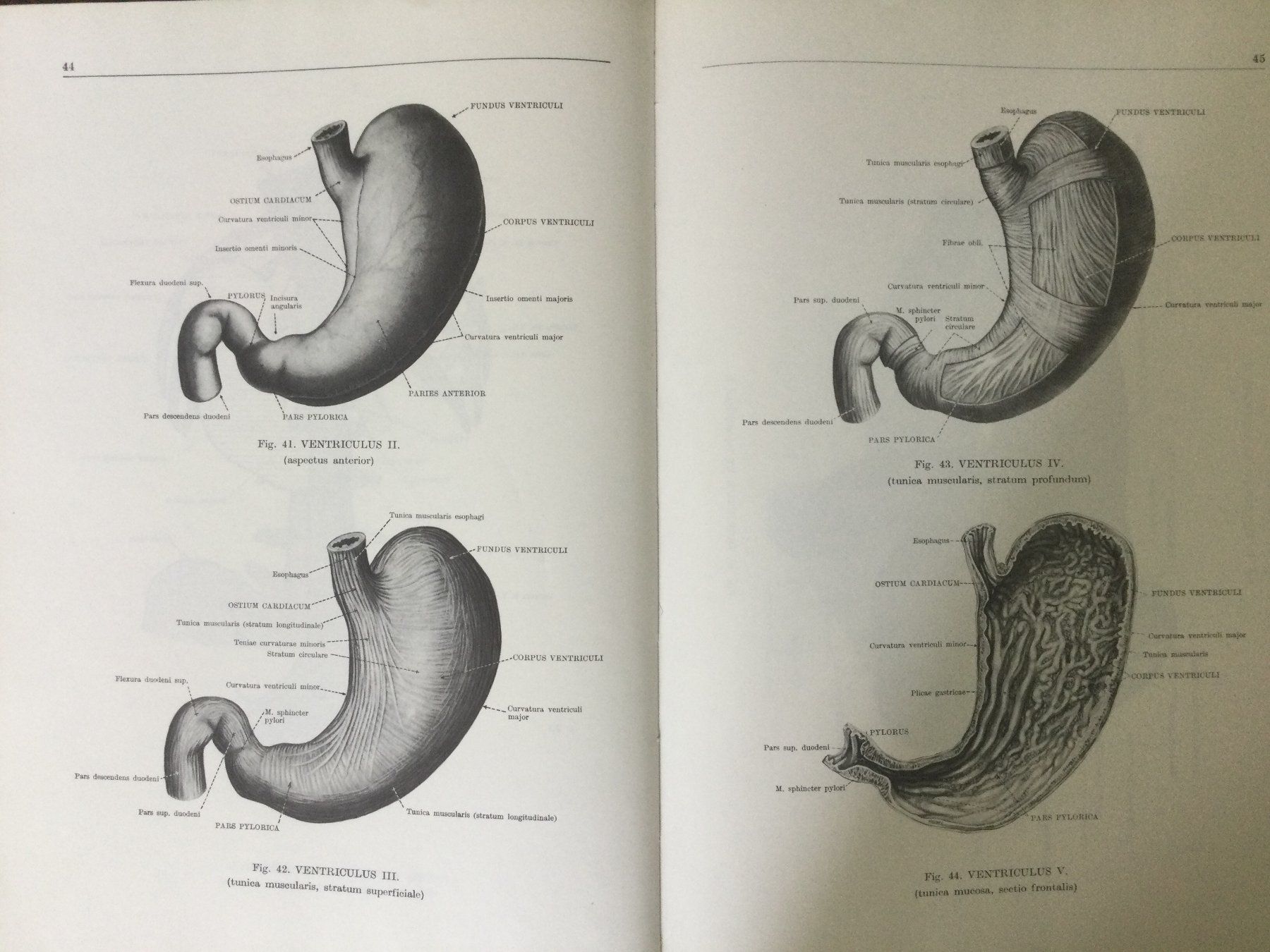 Bücher: Anatomischer Atlas des Menschen, 3 Bände – Gebraucht aus St. Gallen von Lila_238 4