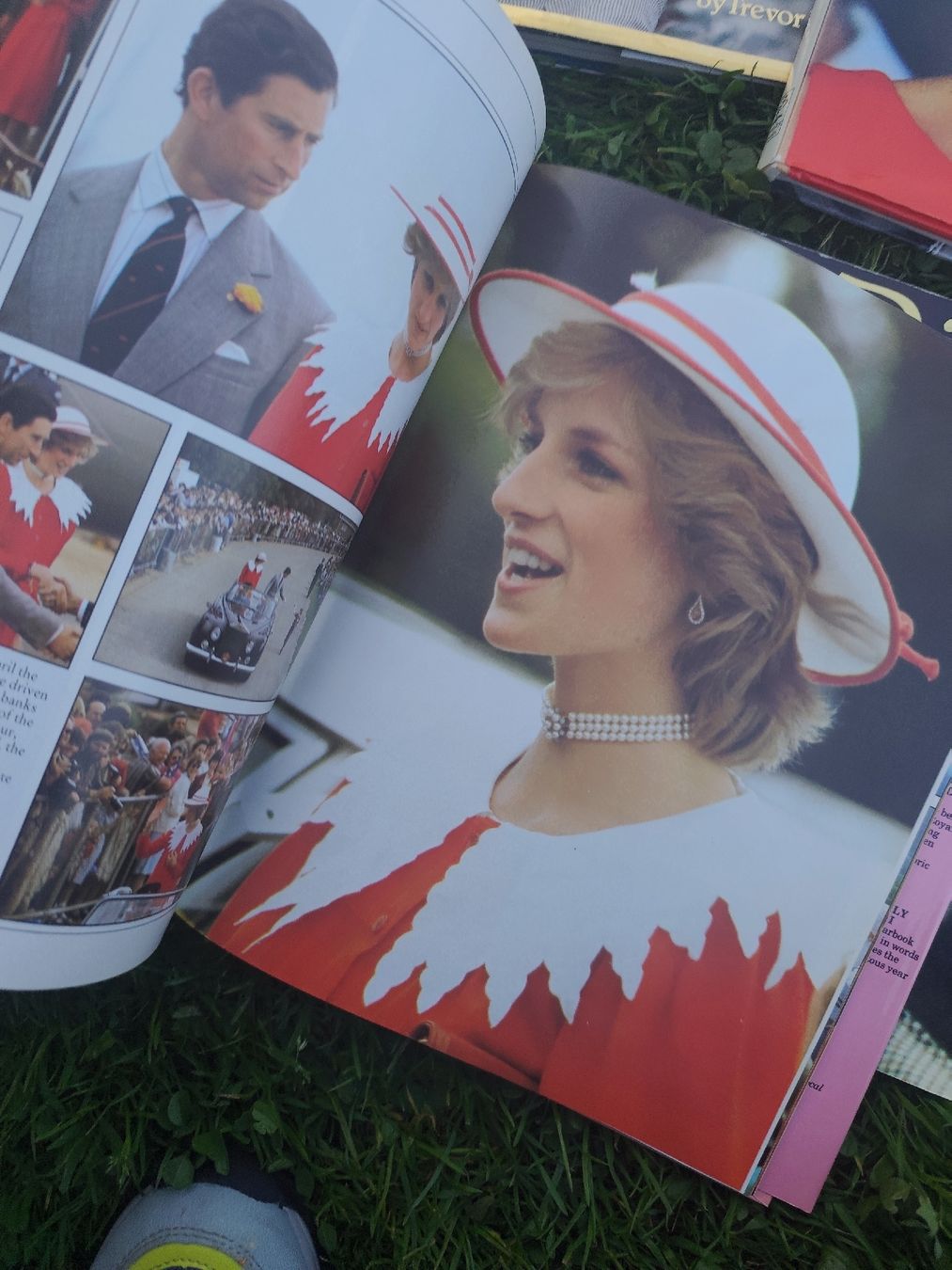Libri: Princess Diana Books Collection – Usato da Mägenwil venduto da VintageGirly 5