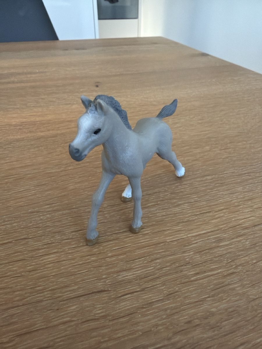 Schleich Spielzeuge: Schleich Fohlen grau – Gebraucht aus Uznach von Player6 1